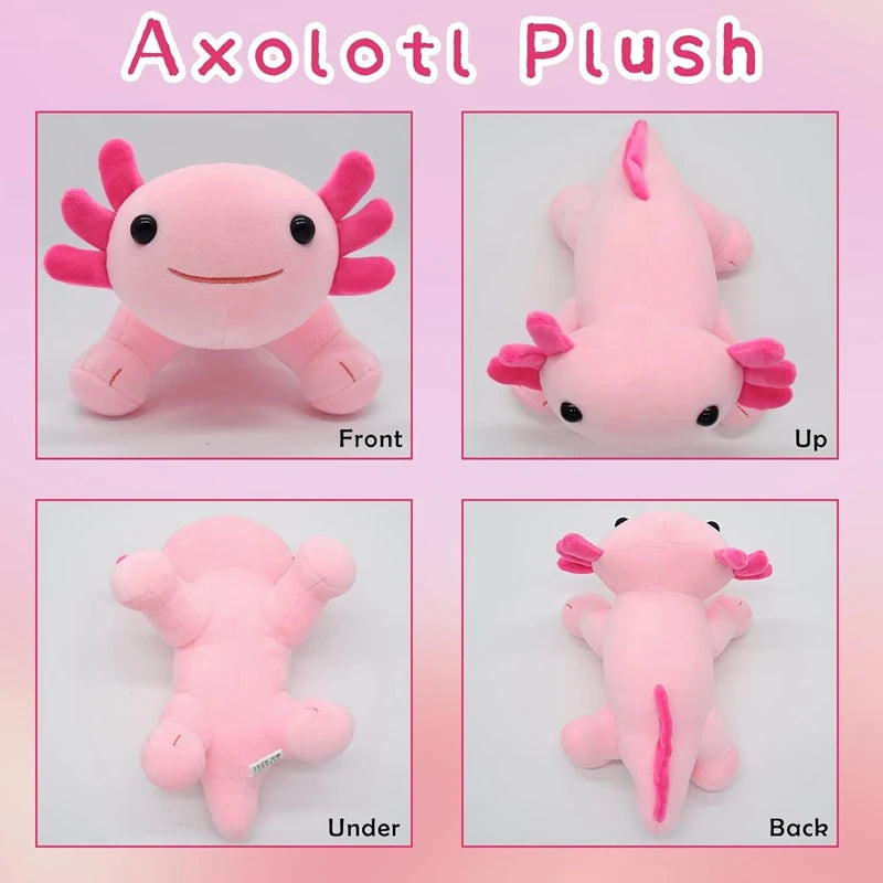 Axolotl